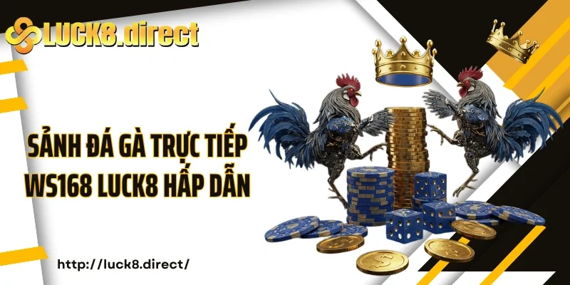 Đôi nét sảnh cược đá gà trực tiếp WS168 Luck8 hấp dẫn