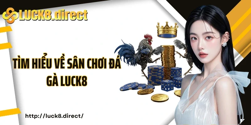 Tìm hiểu về sân chơi đá gà Luck8